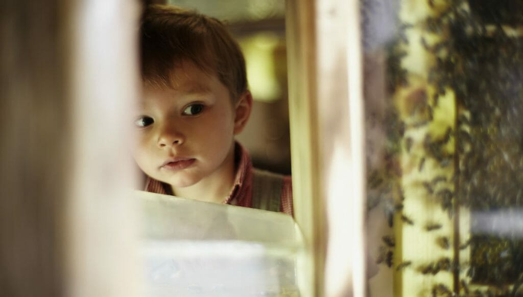 Summen, schwärmen, wuseln